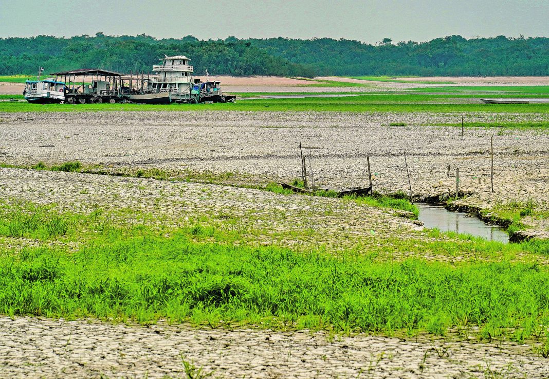 Segundo Carlos Nobre, seca na Amazônia não pode se estender para seis meses, sob risco de se criar um ponto de não-retorno