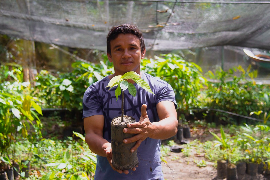 A Organização das Nações Unidas (ONU) definiu que 2021-2030 como a Década da Restauração de Ecossistemas, um apelo para estimular a revitalização dos ecossistemas em todo o mundo.