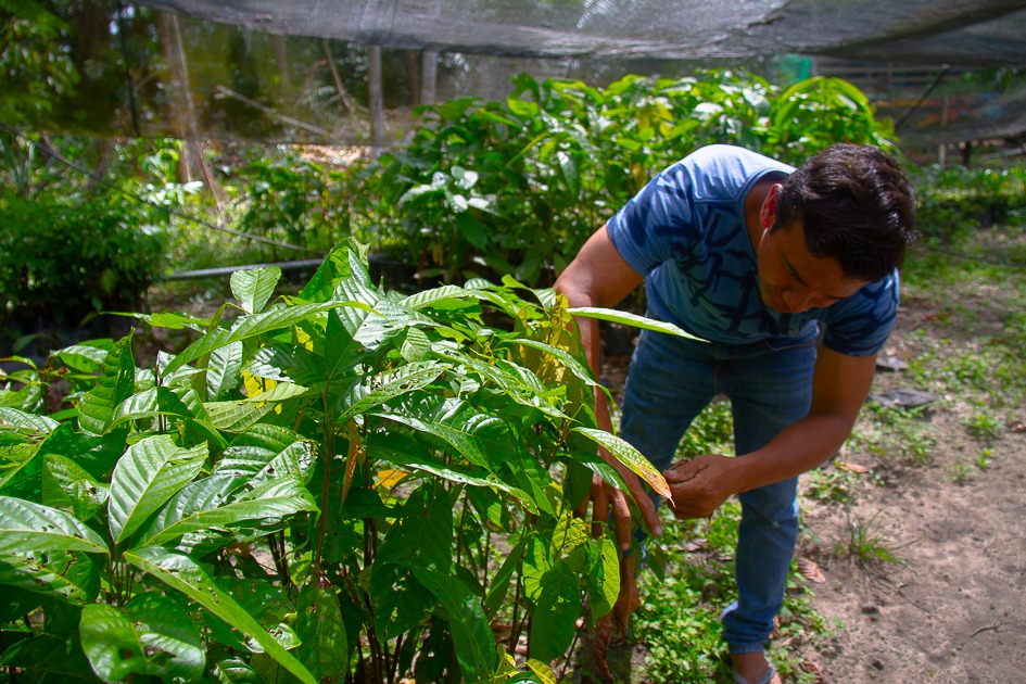 Iniciativa é impulsionada pelo projeto Marajó Socioambiental desenvolvido pelo Instituto Internacional de Educação do Brasil (IIEB) / Divulgação